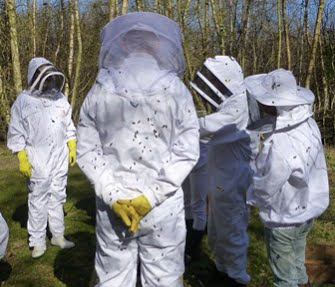 Basingstoke Beekeepers