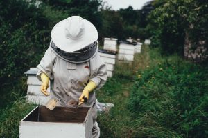 Beekeeper aviary honey bees